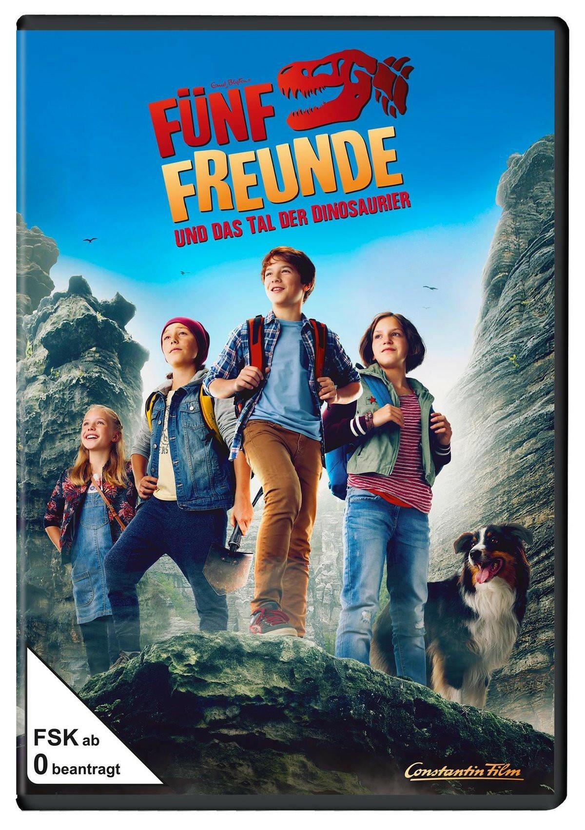 Fünf Freunde: Das Tal der Dinosaurier DVD, Abenteuerfilm