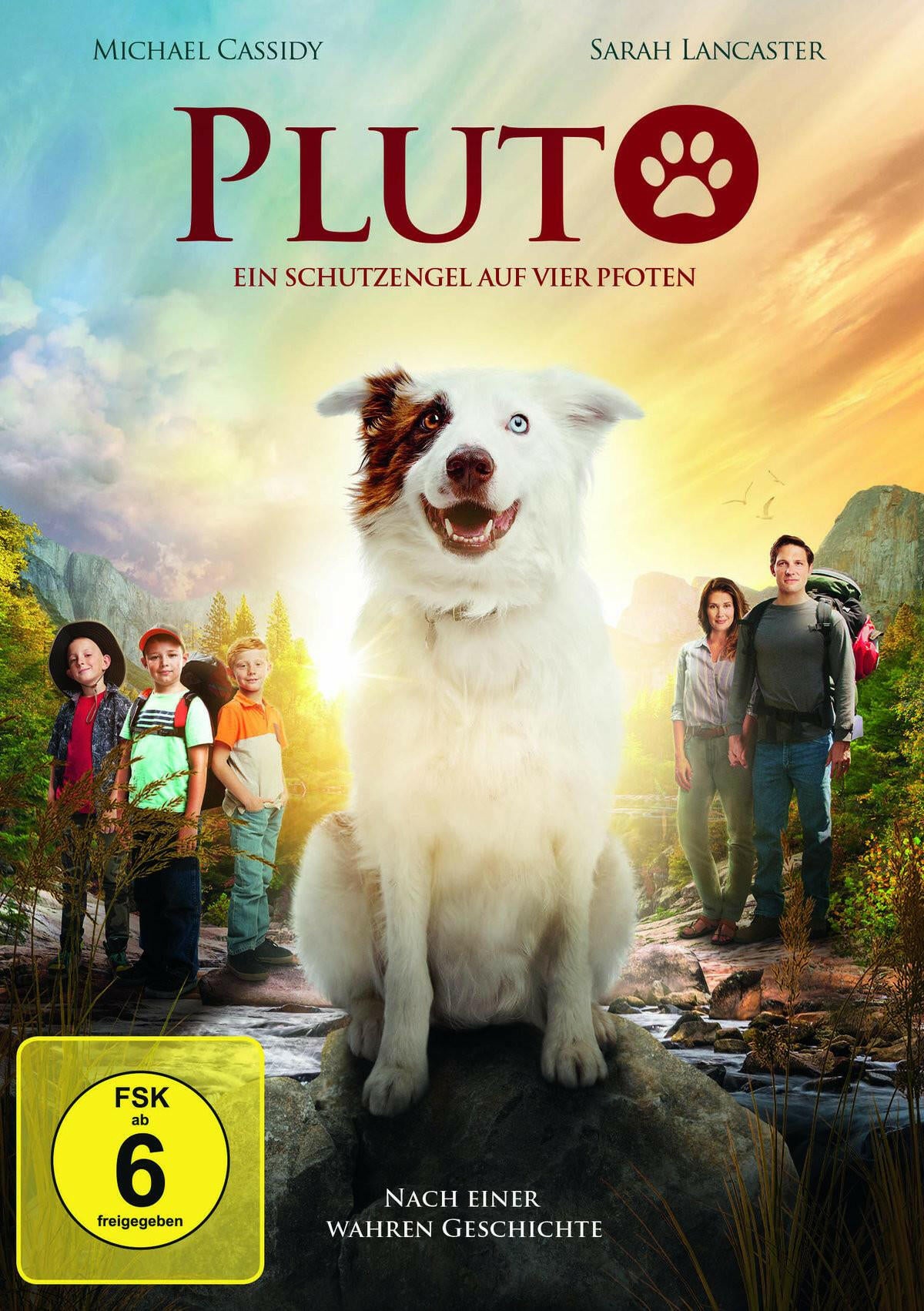 Pluto DVD - Ein Schutzengel auf vier Pfoten - Familienfilm
