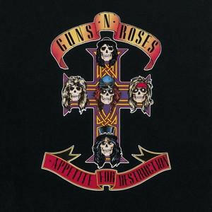 Guns N' Roses Appetite For Destruction 180g Vinyl LP.