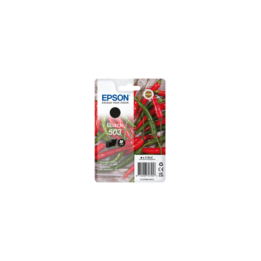 Epson 503 Chillies Schwarz Tinte, 210 Seiten, Standard.
