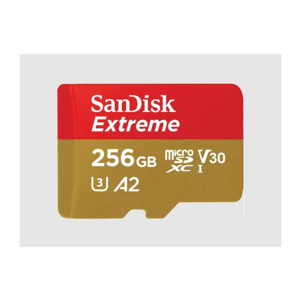 SanDisk Extreme microSDXC 256GB UHS-I V30 + Adapter.