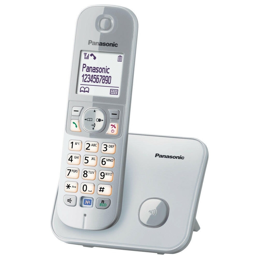 Panasonic KX-TG6811GS.