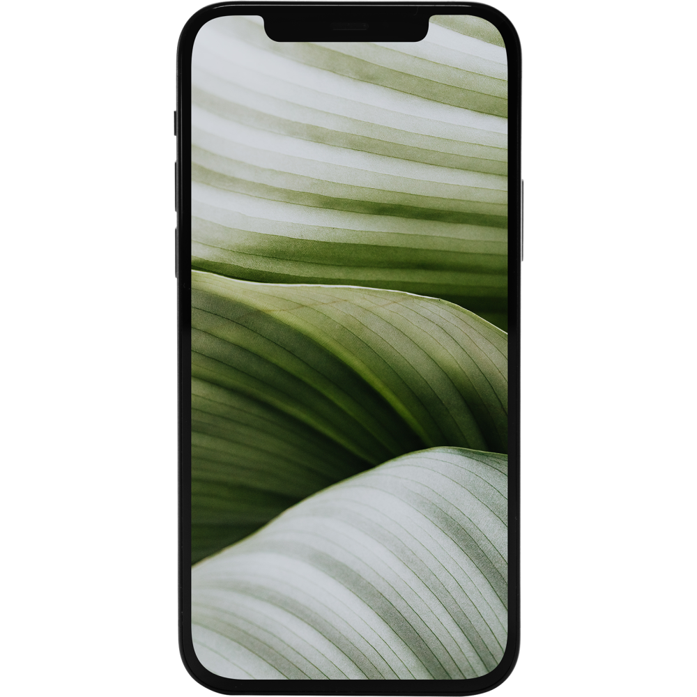 GOECO iPhone 12 mini 64GB Schwarz Premium - A14 Bionic.