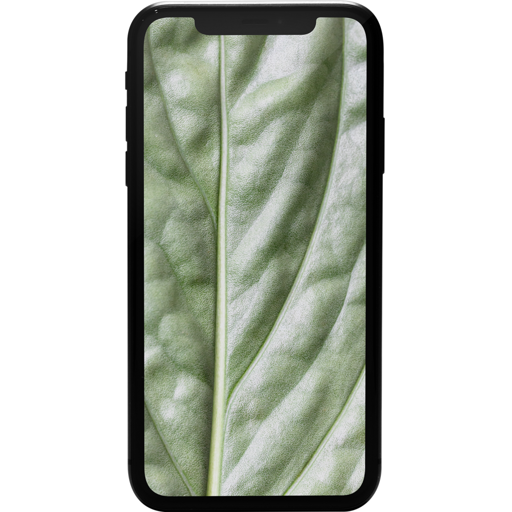 GOECO iPhone 11 64GB Schwarz Premium Refurbished - Premium.