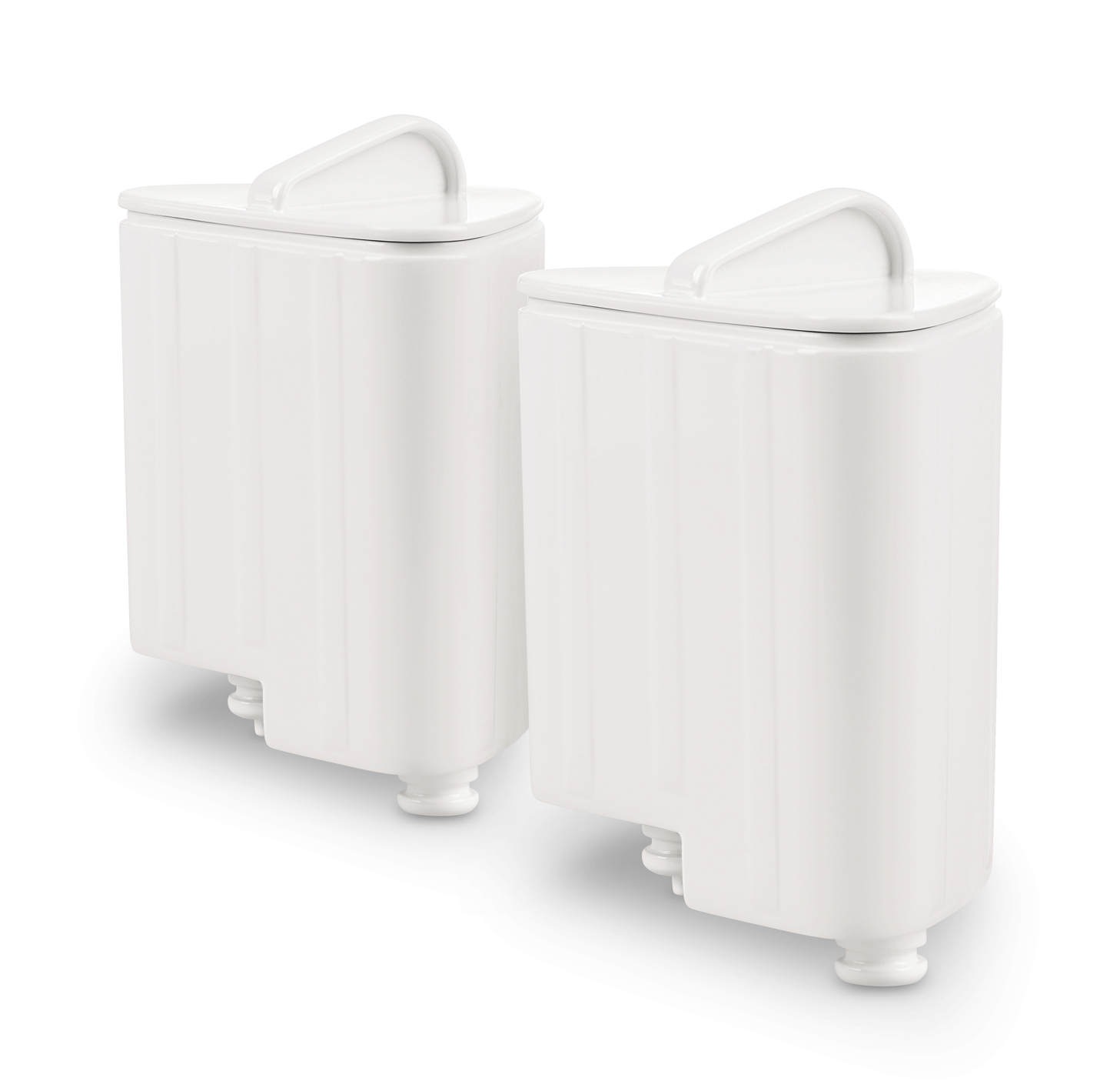 Rowenta TEFAL XD9060E0 Anti-Kalk-Kartusche 2er